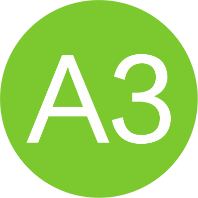 A3